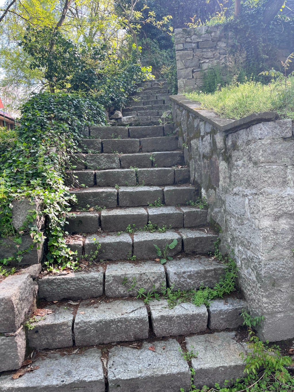 We Can, We Will, We Do