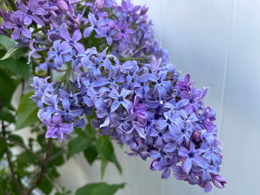 A Classroom in the&nbsp;Spring