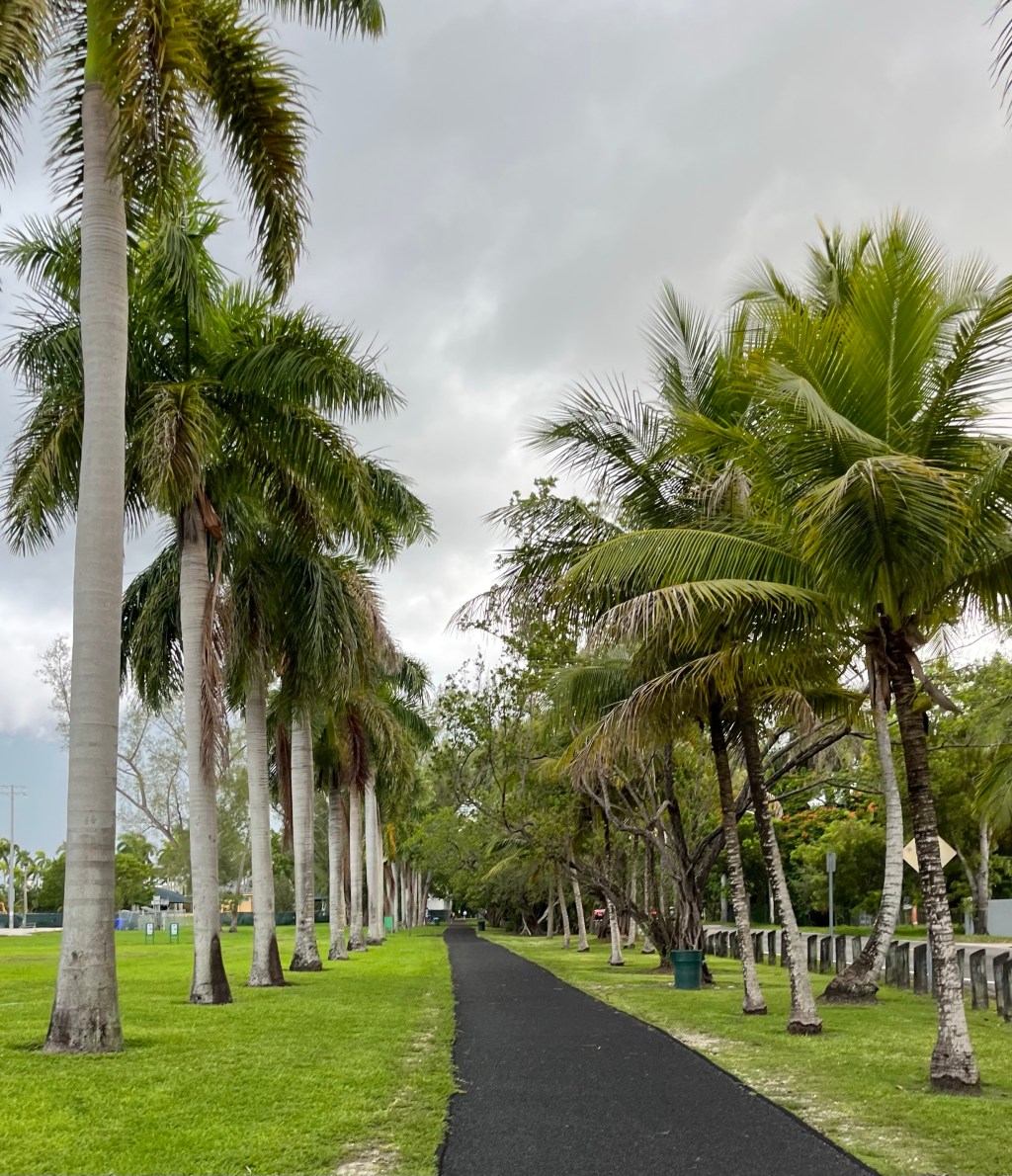 When Did This&nbsp;Happen?!