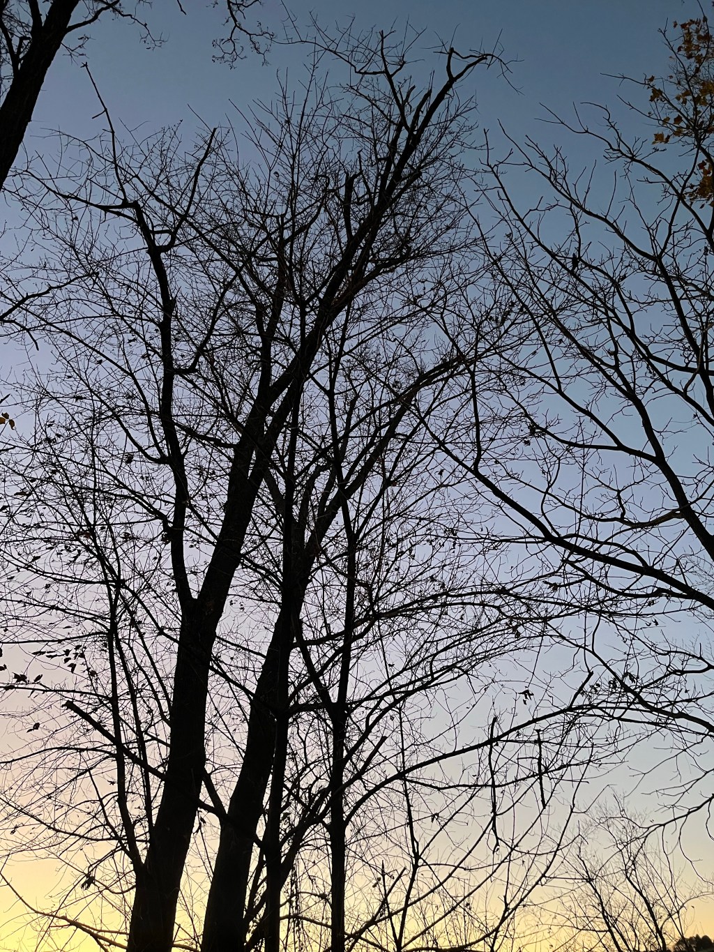 Letters from Love –&nbsp;Fear