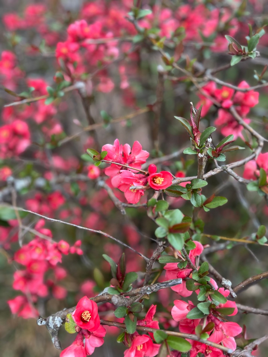 Prompt response: typical?