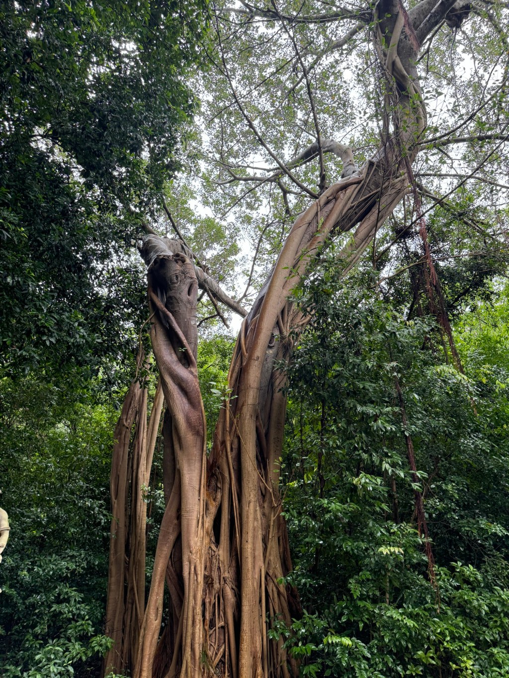 Circle of Possibility