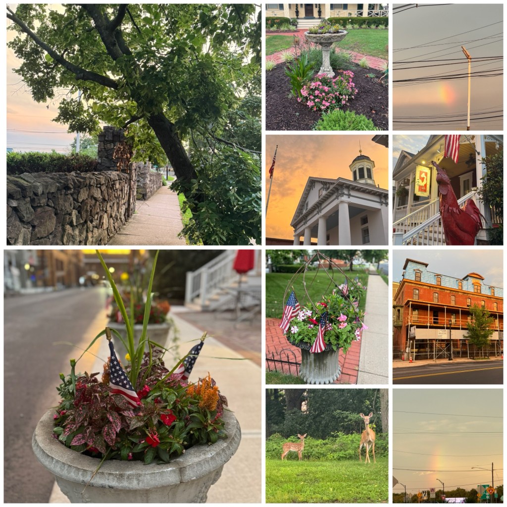 Never the Same Walk&nbsp;Twice