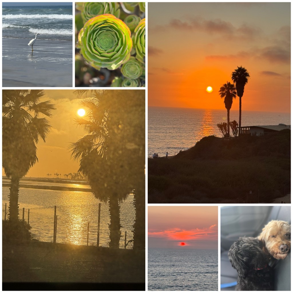 San Diego Day&nbsp;1