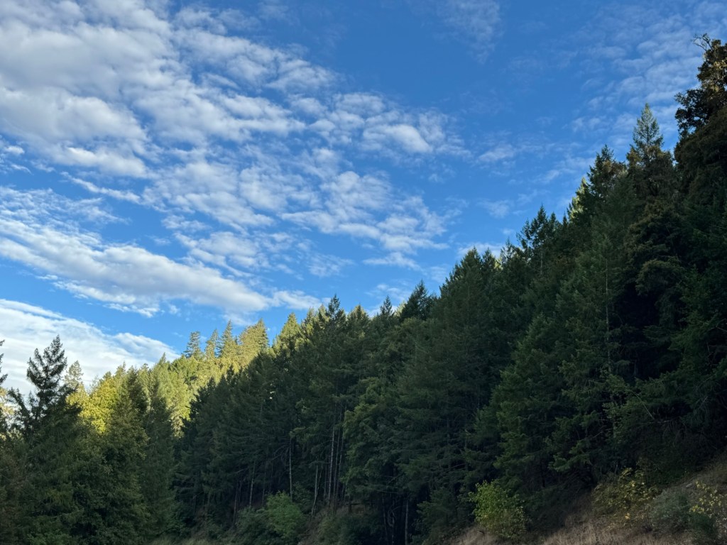 Santa Cruz to Crescent City, Day&nbsp;11