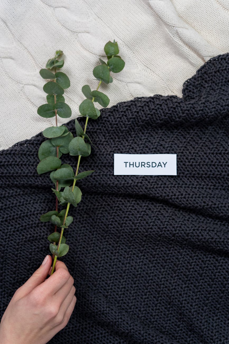 Thursday’s Thoughts