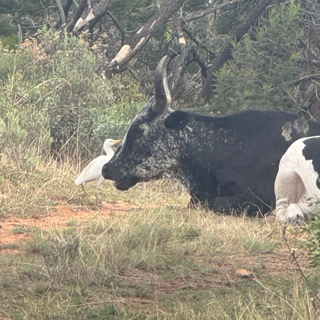 November 9 and&nbsp;10