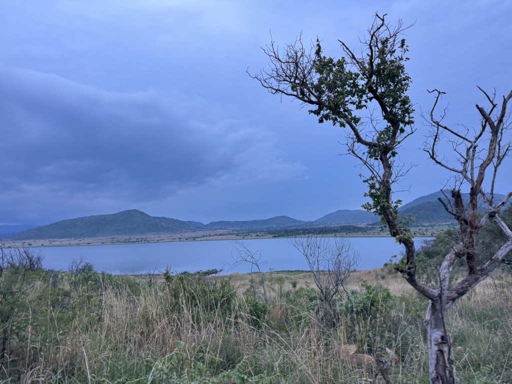 Pilanesberg National Park Day&nbsp;1